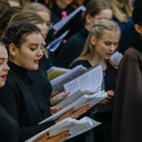 XX Lietuvos aukštųjų mokyklų studentų chorų festivalio baigiamasis koncertas  © Vytauto Petriko nuotr.