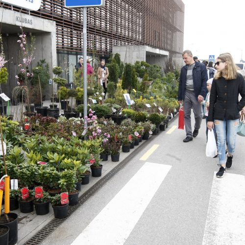 Klaipėdiečiai domisi statybos sektoriaus naujovėmis  © Vytauto Liaudanskio nuotr.