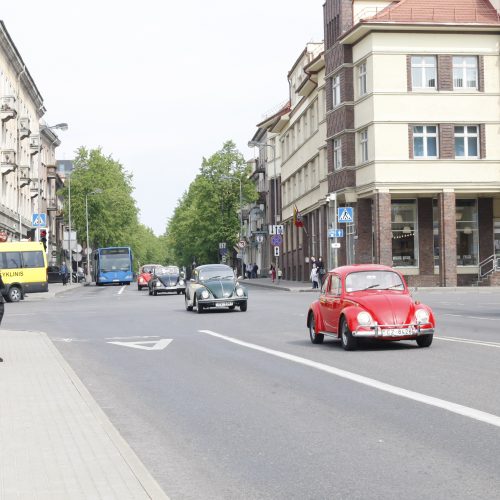 Uostamiesčio gatvėse spalvingi „vabalai“ ir burbulų fiesta  © Vytauto Liaudanskio nuotr.