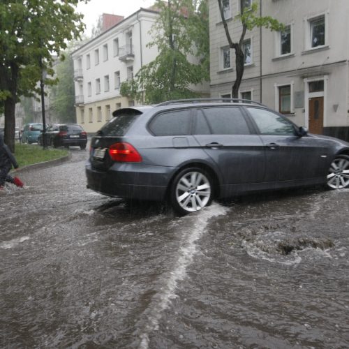 Liūtis Klaipėdoje  © Vytauto Liaudanskio nuotr.