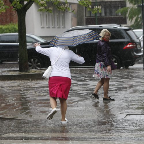 Liūtis Klaipėdoje  © Vytauto Liaudanskio nuotr.