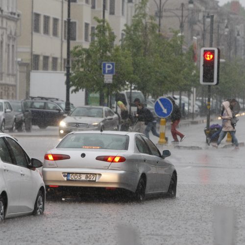 Liūtis Klaipėdoje  © Vytauto Liaudanskio nuotr.