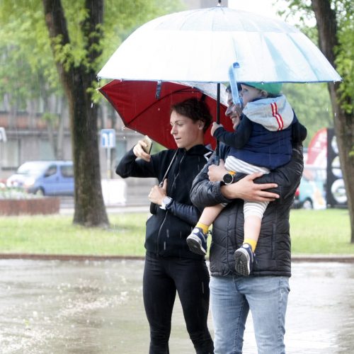 Liūtis Klaipėdoje  © Vytauto Liaudanskio nuotr.