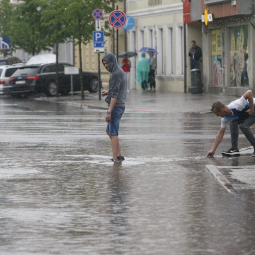 Liūtis Klaipėdoje  © Vytauto Liaudanskio nuotr.