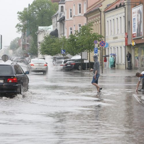 Liūtis Klaipėdoje  © Vytauto Liaudanskio nuotr.