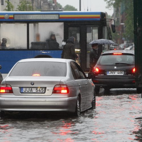 Liūtis Klaipėdoje  © Vytauto Liaudanskio nuotr.