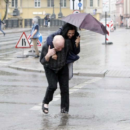 Liūtis Klaipėdoje  © Vytauto Liaudanskio nuotr.