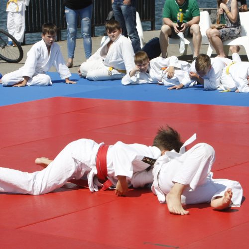 Sporto festivalis Klaipėdoje  © Vytauto Liaudanskio nuotr.