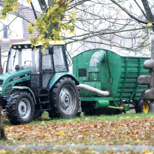 Lapkričio 7-oji Klaipėdos diena  © Vytauto Liaudanskio nuotr.