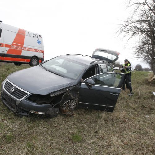 Pakeliui iš Klaipėdos į Palangą automobilis rėžėsi į medį  © Vytauto Liaudanskio nuotr.