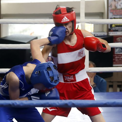  Viliaus Buikos tarptautinis bokso turnyras  © Laimučio Brundzos nuotr.