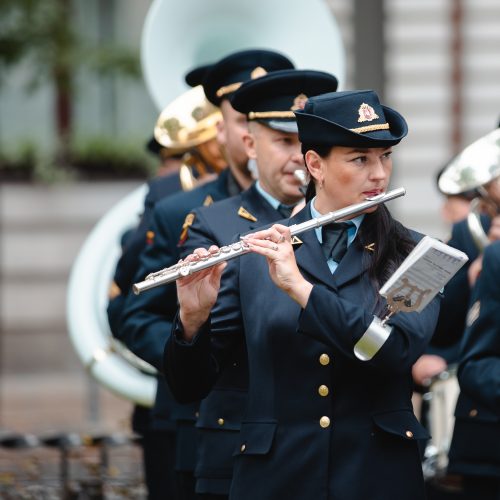 Liepos 6-osios minėjimas Karo muziejaus sodelyje  © Eitvydo Kinaičio nuotr.