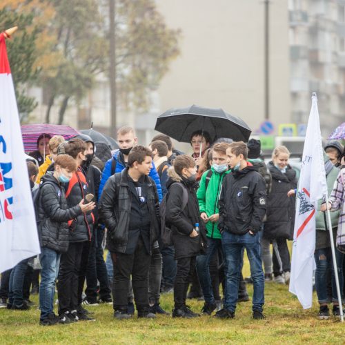 Renginys masinėms žydų žudynėms atminti  © Justinos Lasauskaitės nuotr.