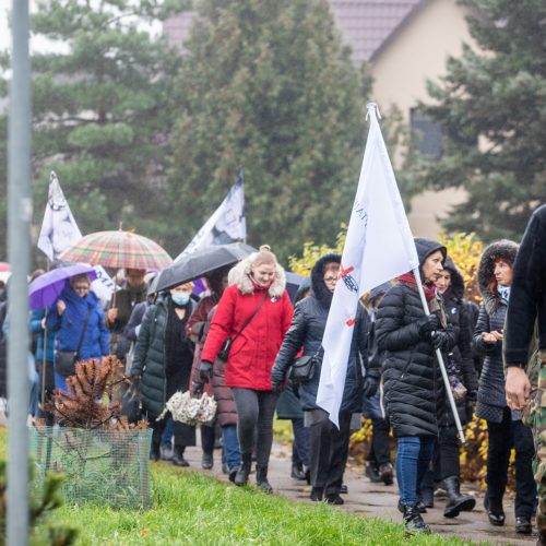 Renginys masinėms žydų žudynėms atminti  © Justinos Lasauskaitės nuotr.