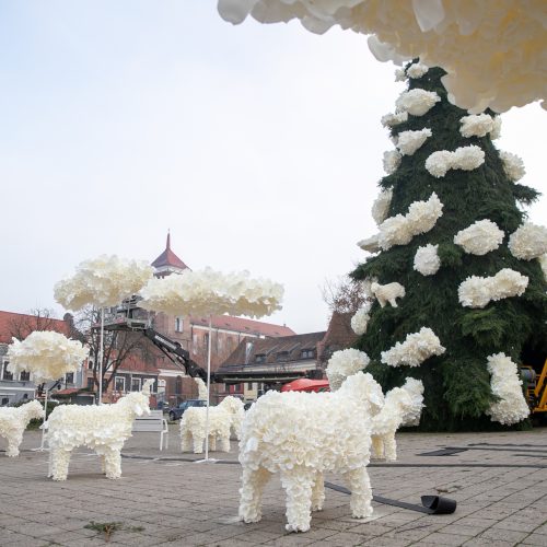 Kauno kalėdinės eglutės pristatymas  © Justinos Lasauskaitės nuotr.