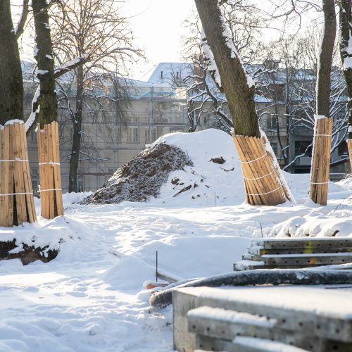 Besikeičianti Laisvės alėja  © Justinos Lasauskaitės nuotr.