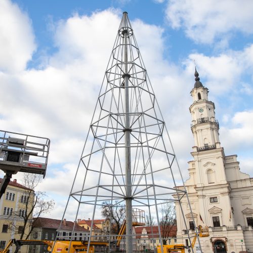 Rotušės aikštėje ryškėja kalėdinės Kauno eglės kontūrai  © Justinos Lasauskaitės nuotr.