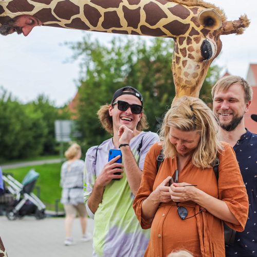 Kauniečius džiugina festivalio „ConTempo“ žirafos  © Justinos Lasauskaitės nuotr.