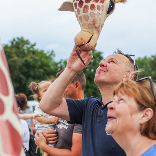 Kauniečius džiugina festivalio „ConTempo“ žirafos  © Justinos Lasauskaitės nuotr.