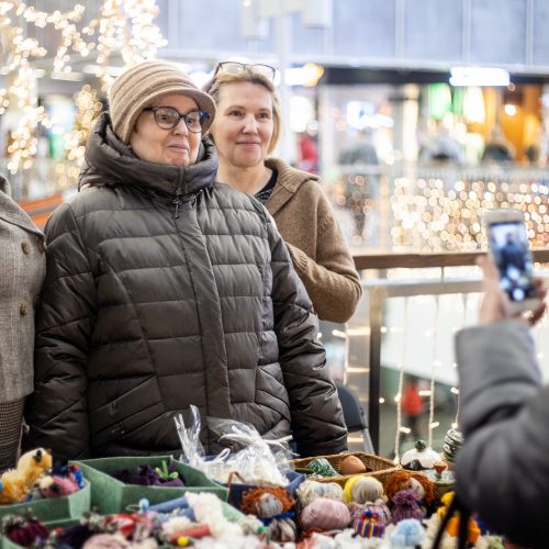 Rankdarbių mugė skirta Tarptautinei žmonių su negalia dienai paminėti  © Justinos Lasauskaitės nuotr.