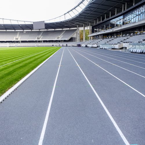 Dariaus ir Girėno stadiono renginių pristatymas  © Justinos Lasauskaitės nuotr.