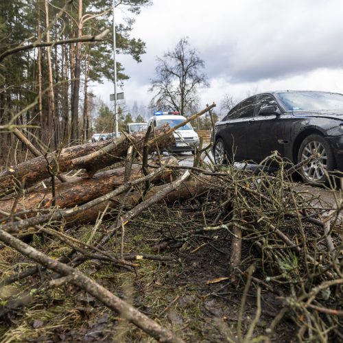 Stipraus vėjo padariniai Vilniaus mieste ir apylinkėse  © L. Balandžio / BNS nuotr.