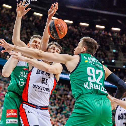 LKL rungtynės: Kauno „Žalgiris“ ir Vilniaus „Rytas“  © E. Ovčarenko / BNS nuotr.