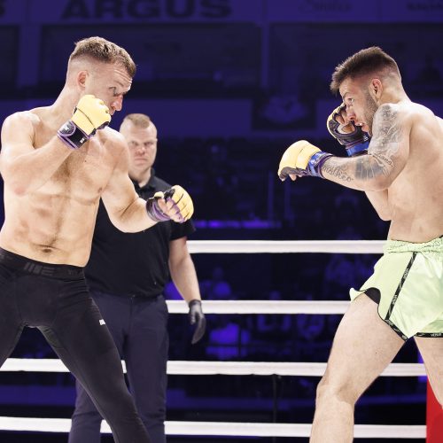 Žiūrovų kraują kaitino „Blade fights“ turnyras   © Vytauto Liaudanskio,  E. Paulausko nuotr.