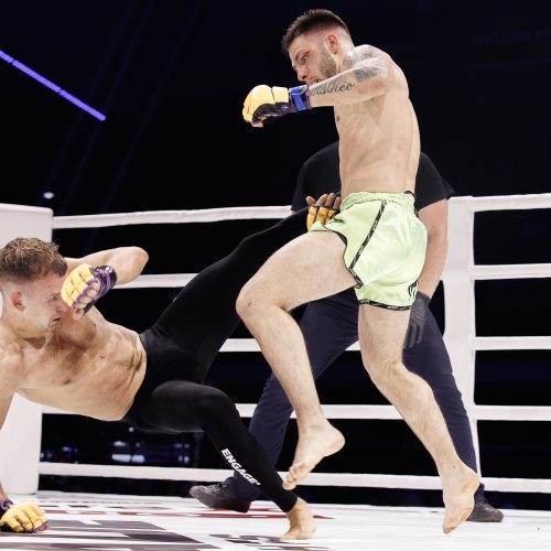 Žiūrovų kraują kaitino „Blade fights“ turnyras   © Vytauto Liaudanskio,  E. Paulausko nuotr.