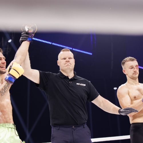 Žiūrovų kraują kaitino „Blade fights“ turnyras   © Vytauto Liaudanskio,  E. Paulausko nuotr.