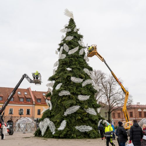 Pristatyta Kauno kalėdinė eglutė   © Regimanto Zakšensko nuotr.