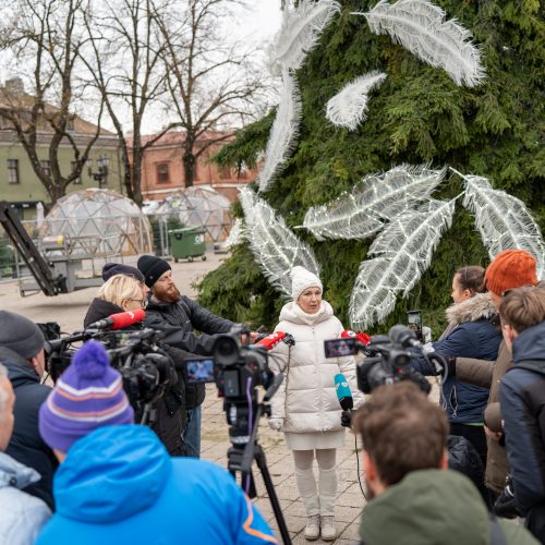 Pristatyta Kauno kalėdinė eglutė   © Regimanto Zakšensko nuotr.