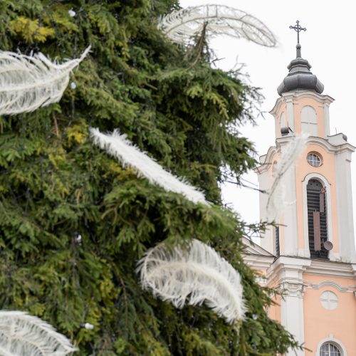 Pristatyta Kauno kalėdinė eglutė   © Regimanto Zakšensko nuotr.