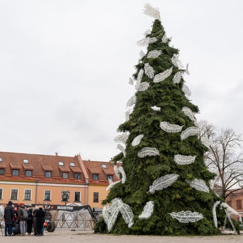 Pristatyta Kauno kalėdinė eglutė   © Regimanto Zakšensko nuotr.