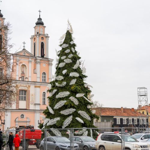 Pristatyta Kauno kalėdinė eglutė   © Regimanto Zakšensko nuotr.