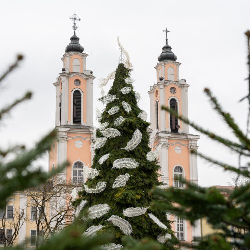 Pristatyta Kauno kalėdinė eglutė   © Regimanto Zakšensko nuotr.