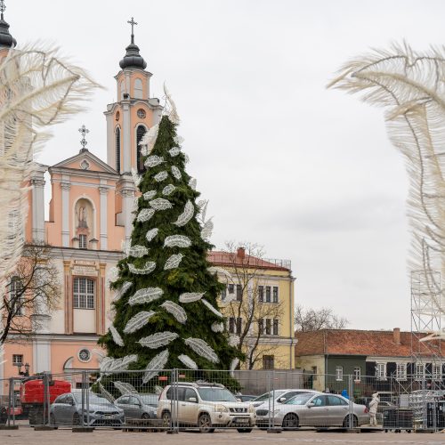 Pristatyta Kauno kalėdinė eglutė   © Regimanto Zakšensko nuotr.