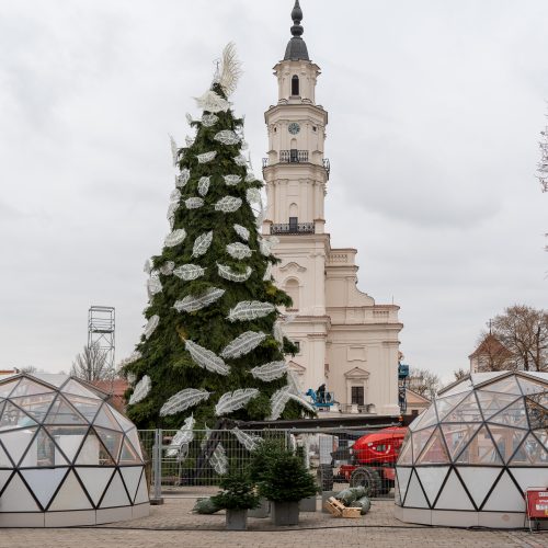Pristatyta Kauno kalėdinė eglutė   © Regimanto Zakšensko nuotr.