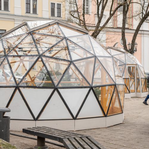 Pristatyta Kauno kalėdinė eglutė   © Regimanto Zakšensko nuotr.