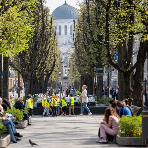 Kaune pradedamas fontanų sezonas  © Regimanto Zakšensko nuotr.