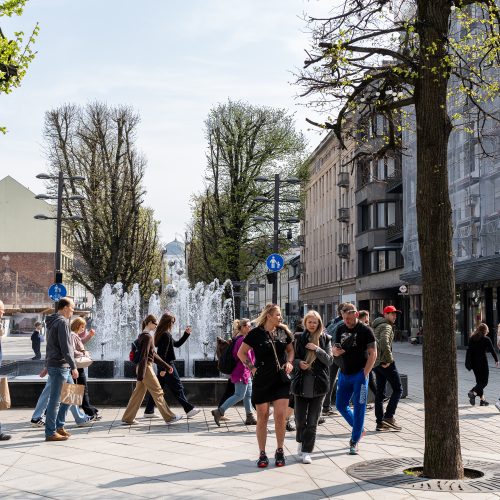 Kaune pradedamas fontanų sezonas  © Regimanto Zakšensko nuotr.