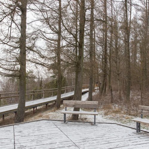 Kadagių slėnyje - lankytojų gausa  © Regimanto Zakšensko nuotr.