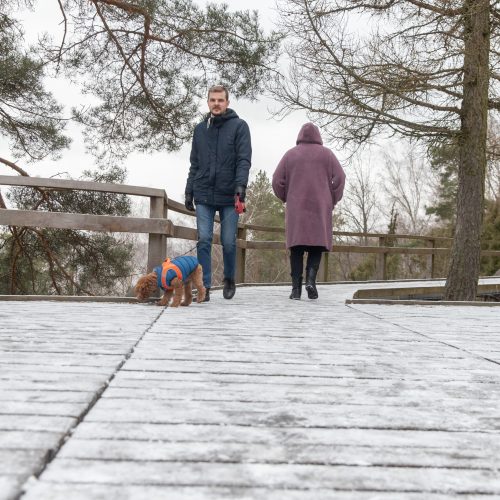 Kadagių slėnyje - lankytojų gausa  © Regimanto Zakšensko nuotr.