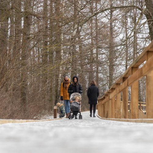 Kadagių slėnyje - lankytojų gausa  © Regimanto Zakšensko nuotr.