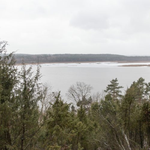 Kadagių slėnyje - lankytojų gausa  © Regimanto Zakšensko nuotr.
