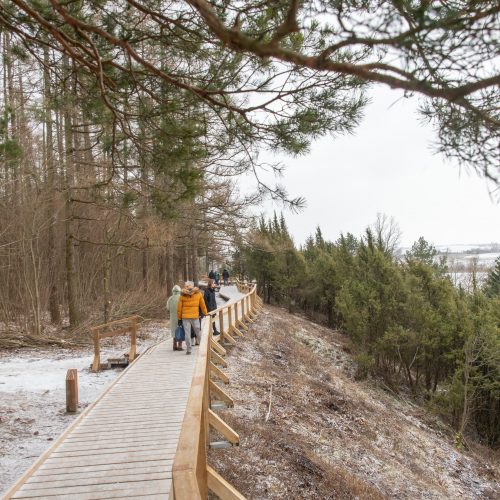 Kadagių slėnyje - lankytojų gausa  © Regimanto Zakšensko nuotr.