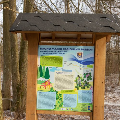 Kadagių slėnyje - lankytojų gausa  © Regimanto Zakšensko nuotr.
