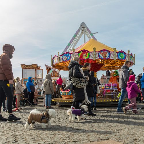 Kauno Kaziuko mugės šeštadienis  © Regimanto Zakšensko nuotr.