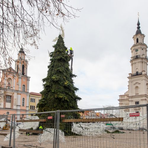 Pasirengimas Kalėdoms Rotušės aikštėje įgauna pagreitį  © Regimanto Zakšensko nuotr.