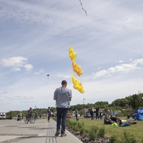 Aitvarų festivalis Zapyškyje <span style=color:red;>(2023)</span>  © Simono Baltušio nuotr.